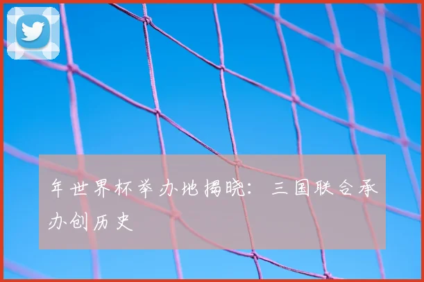 年世界杯举办地揭晓：三国联合承办创历史
