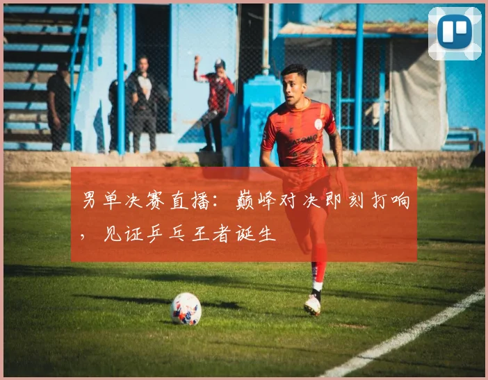 男单决赛直播：巅峰对决即刻打响，见证乒乓王者诞生